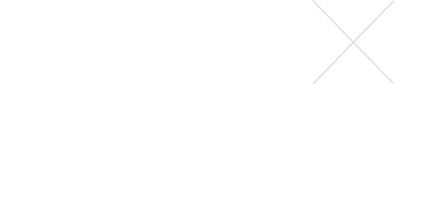 TOYOTA SHINMEI