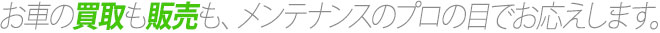 厳選された中古車をお届けします。